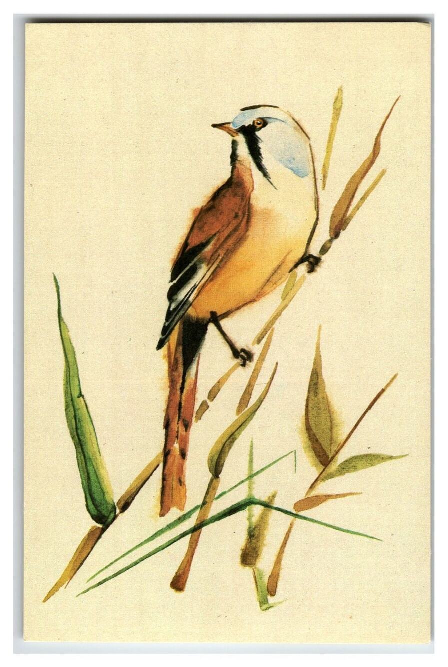 1987 USSR Bearded Tit Bird Postcard by O. Trendeleva Fine Art Moscow